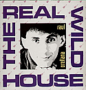 RAUL ORELLANA / THE REAL WILD HOUSE