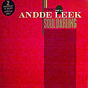 ANDDE LEEK / SOUL DARLING