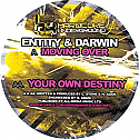 ENTITY & DARWIN / MOVING OVER / YOUR DESTINY