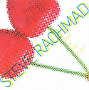 STEVE RACHMAD / FRUIT OF THE ROOM