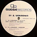 SY & UNKNOWN / DON'T WANNA LET YOU DOWN