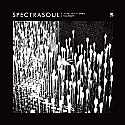 SPECTRASOUL / LIGHT IN THE DARK / SHACKLES