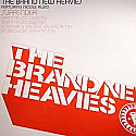 THE BRAND NEW HEAVIES FEATURING NICOLE RUSSO / SURRENDER