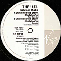 THE UNIVERSAL FUNK INDUSTRY FEATURING FRANKE / UNDERSTAND THIS GROOVE ( I REALLY LOVE YOU)