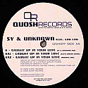 SY & UNKNOWN FEAT LOU LOU / CAUGHT UP IN YOUR LOVE
